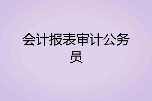 会计报表审计公务员