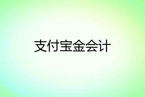支付宝金会计