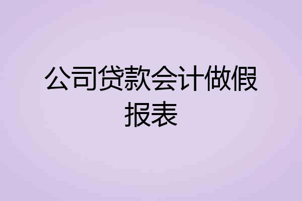 公司贷款会计做假报表