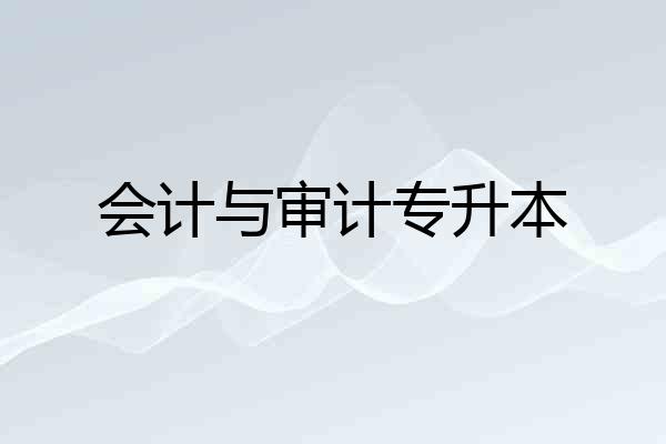 会计与审计专升本