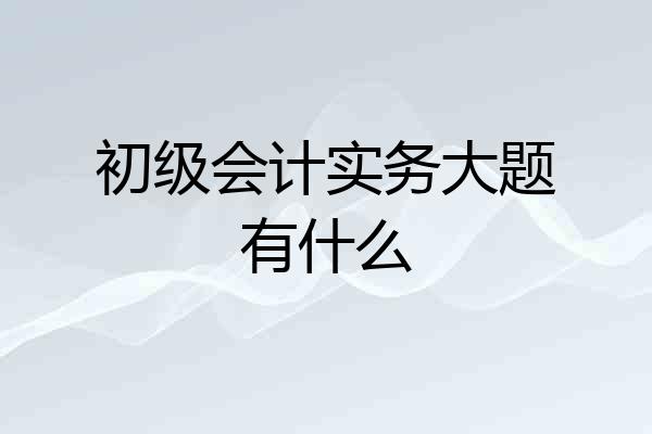 初级会计实务大题有什么