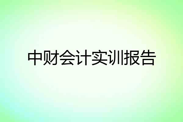 中财会计实训报告