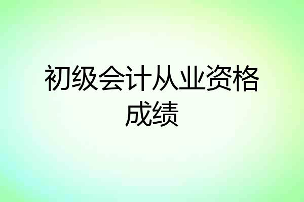 初级会计从业资格成绩