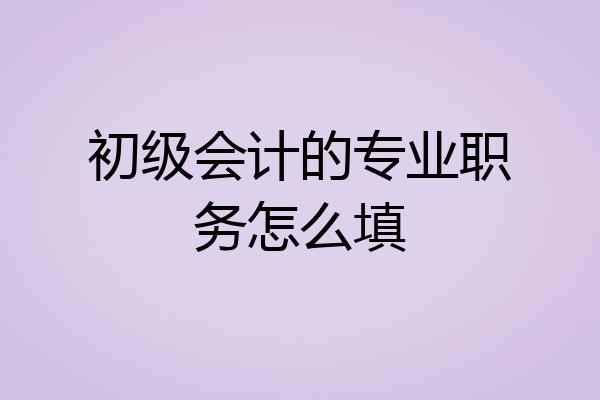 初级会计的专业职务怎么填