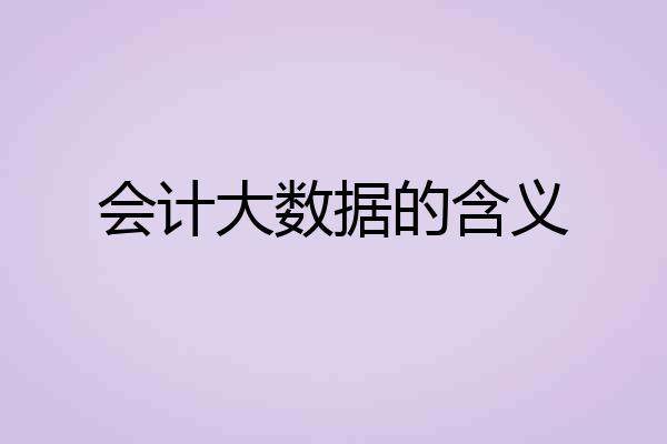 会计大数据的含义
