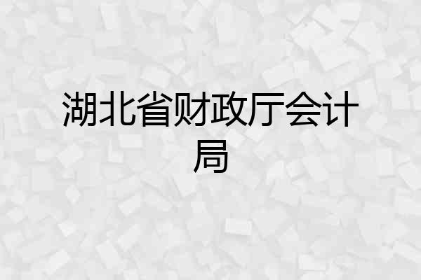 湖北省财政厅会计局