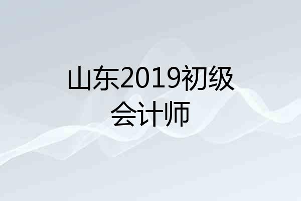 山东2019初级会计师