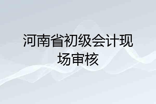 河南省初级会计现场审核