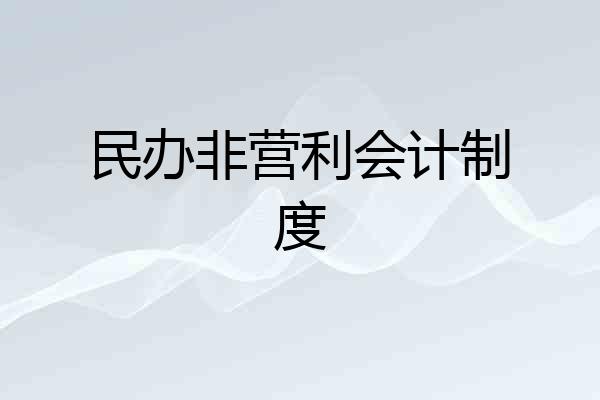 民办非营利会计制度