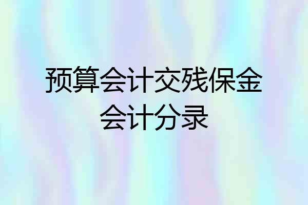 预算会计交残保金会计分录