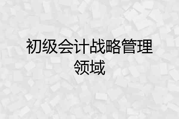 初级会计战略管理领域