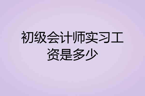 初级会计师实习工资是多少