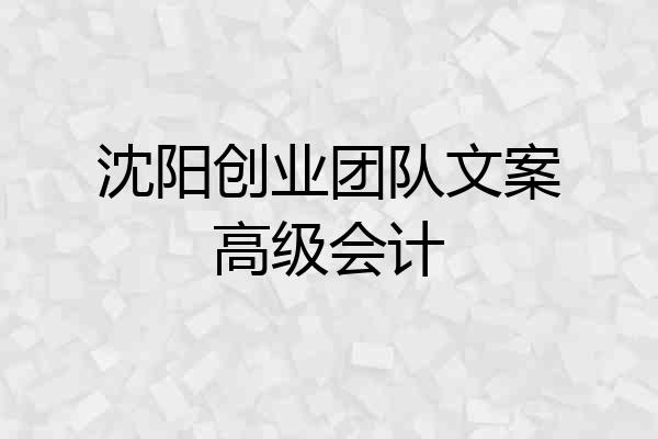 沈阳创业团队文案高级会计