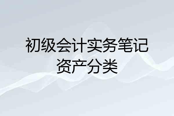 初级会计实务笔记资产分类