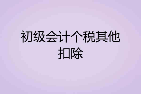 初级会计个税其他扣除