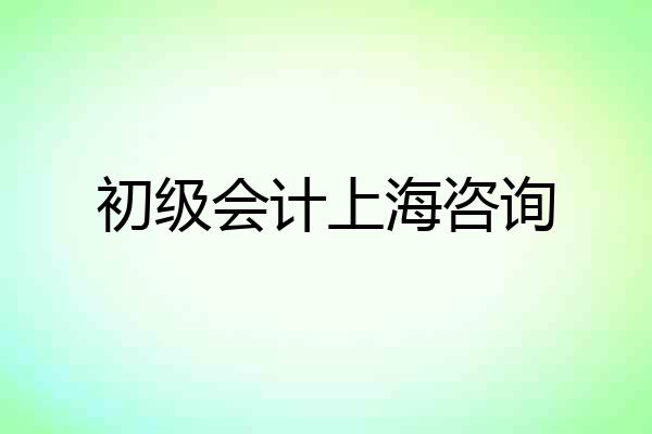 初级会计上海咨询