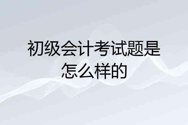 初级会计考试题是怎么样的
