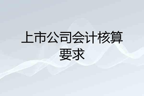 上市公司会计核算要求