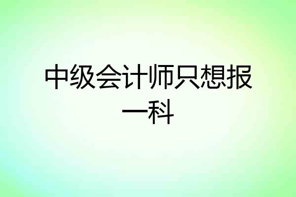 中级会计师只想报一科