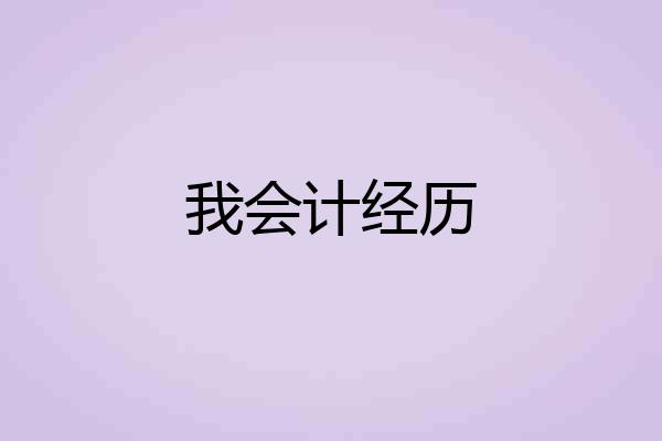我会计经历