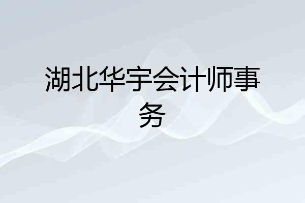 湖北华宇会计师事务