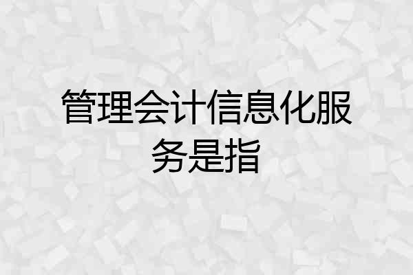 管理会计信息化服务是指