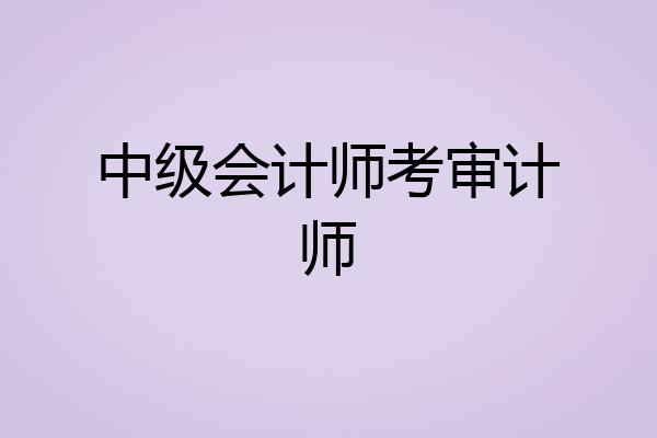 中级会计师考审计师