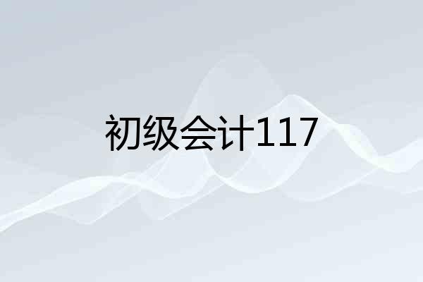 初级会计117