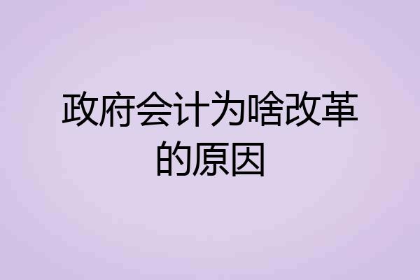 政府会计为啥改革的原因
