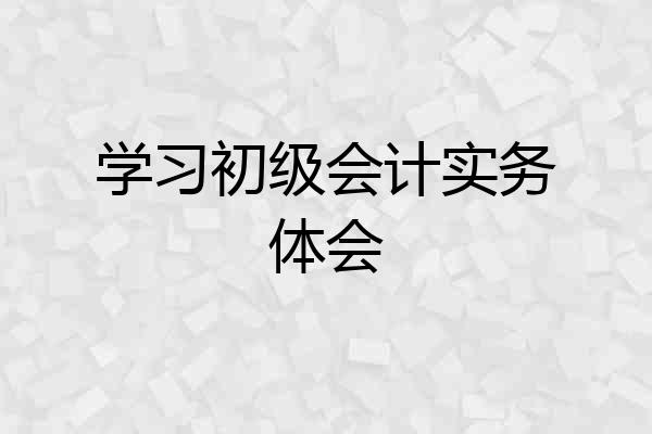 学习初级会计实务体会