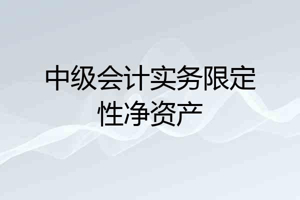 中级会计实务限定性净资产