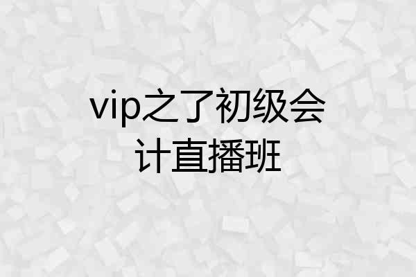 vip之了初级会计直播班