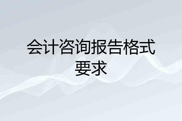 会计咨询报告格式要求
