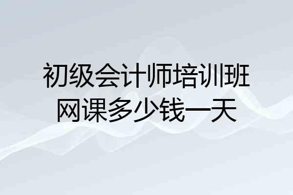 初级会计师培训班网课多少钱一天