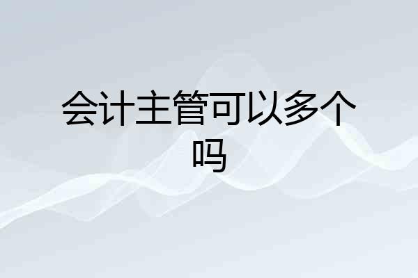 会计主管可以多个吗