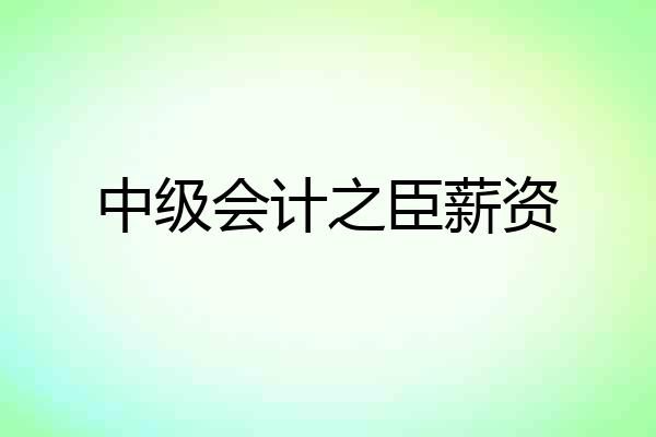 中级会计之臣薪资