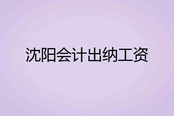 沈阳会计出纳工资