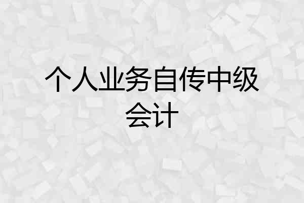 个人业务自传中级会计