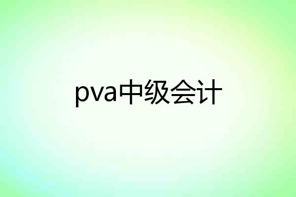 pva中级会计