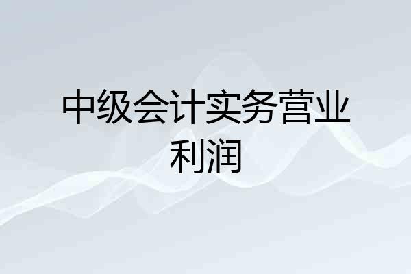 中级会计实务营业利润