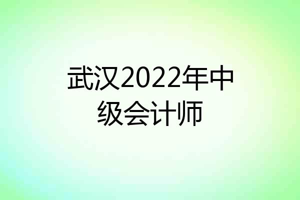 武汉2022年中级会计师