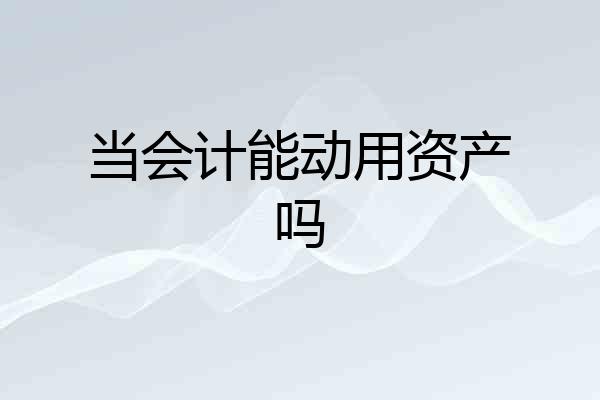 当会计能动用资产吗