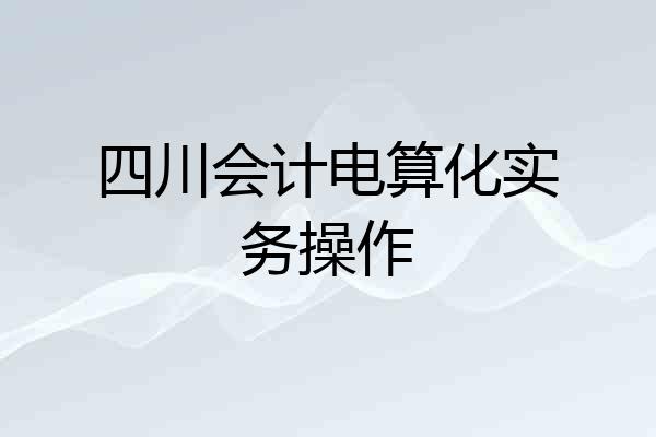 四川会计电算化实务操作