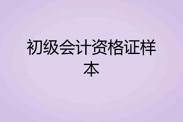 初级会计资格证样本