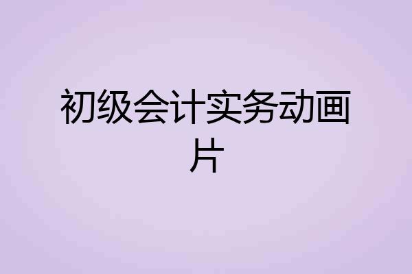 初级会计实务动画片