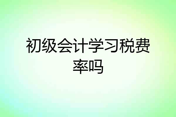 初级会计学习税费率吗
