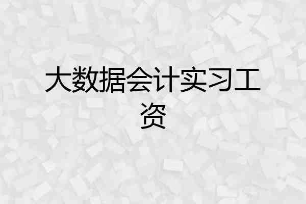 大数据会计实习工资