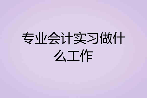 专业会计实习做什么工作