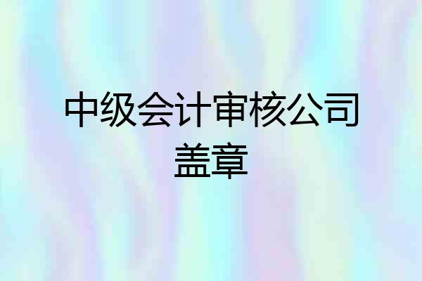 中级会计审核公司盖章