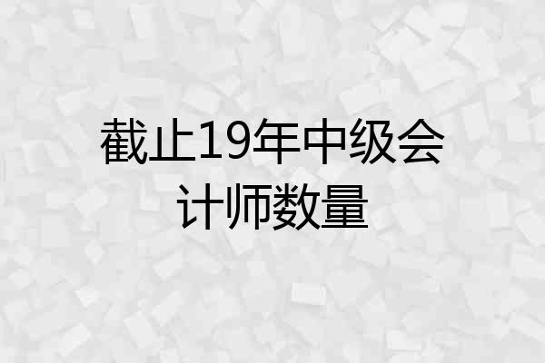 截止19年中级会计师数量
